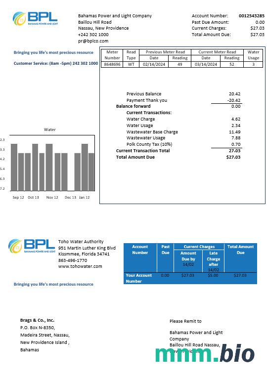 Bahamas Power and Light Company rachunek za usługi komunalne szablon w formacie Word i PDF